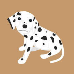 Dalmatian