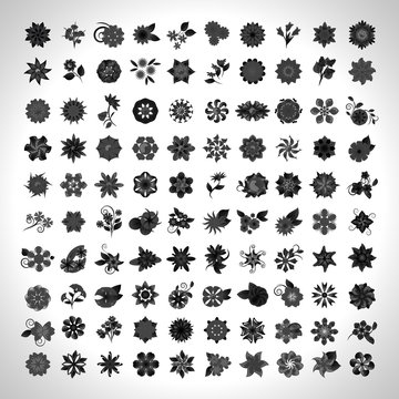 Flower Icons Set - Isolated On Gray Background - Vector Illustration, Graphic Design, Editable For Your Design