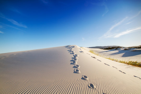 Dunas