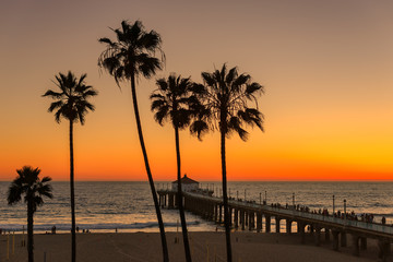 Naklejka na ściany i meble The Palm trees in Manhattan Beach and Pier at sunset in Los Angeles, California