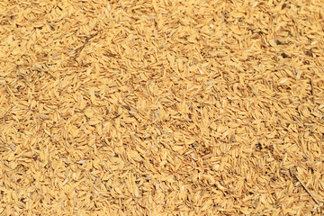 Rice husks of chaff in Japan