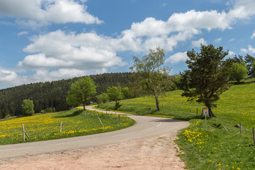 route de montagne