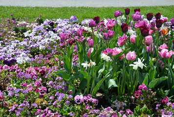 Fototapeta premium Blumenbeet
