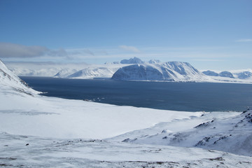 Arctic spring in south Spitsbergen © KrisGrabiec