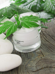 organic cosmetics