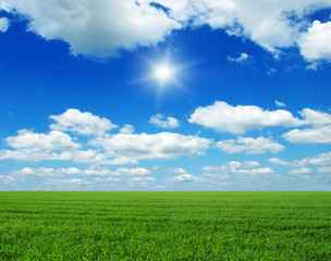 Green field, blue sky and sun