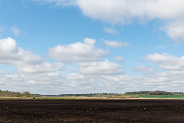 countryside fields in early spring