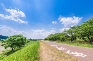 多摩川　サイクリングロード