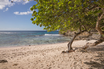 Plage de l’Anse Laborde, Guadeloupe, Karibik