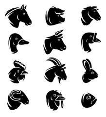 Farm animals set. Vector