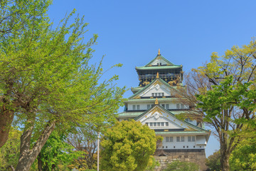 Himeji Castle,osaka  japan