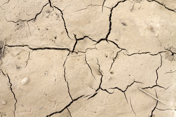 Dry cracked earth texture