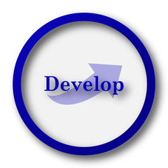 Develop icon