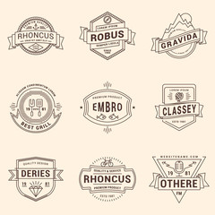 Set of Thin Line Hipster Labels, Logotypes, Insignias