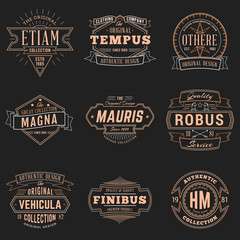 Set of Hipster Vintage Labels, Logotypes, Badges