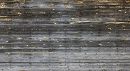 Background of dark wooden wall  with yellow knots