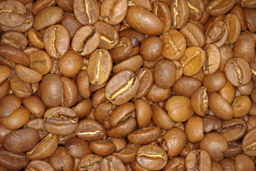 coffee grains