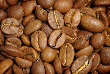  coffee grains