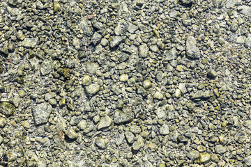 beautiful stones in a river bed