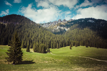 Wooden hut in Chocholowska valley, Tatra Mountains, Poland