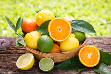 Citrus fruits in the basket 