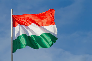 Naklejka na ściany i meble Hungary flag