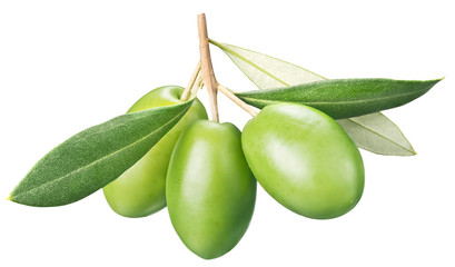 Green olives with leaves on a white background.