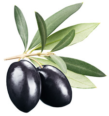 Black olives with leaves on a white background.