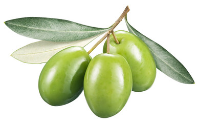 Green olives with leaves on a white background.