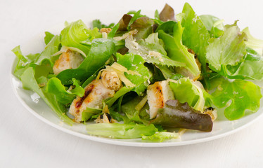 Chicken fresh salad on white plate.