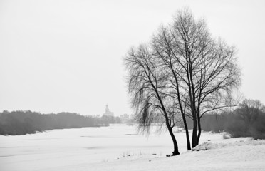 Frozen Volkhov river with naked tree at winter season