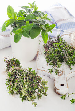 Fresh green herbs - thyme and oregano