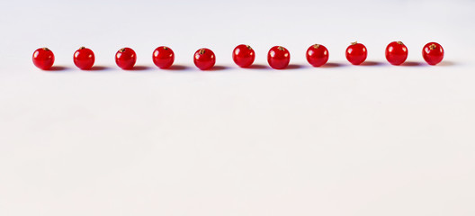 Red currant on the white background