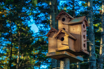 Rustic Birdhouse