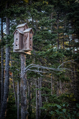 Rustic Birdhouse