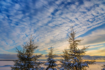  Winter Sky