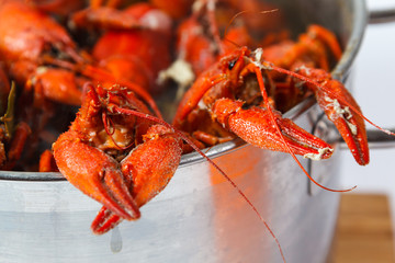 Boiled crayfish in pan