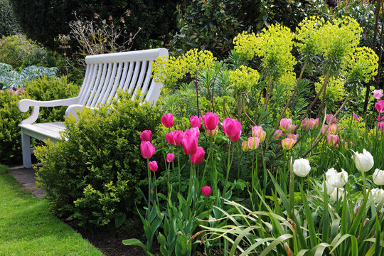 Bench seat in an english garden 