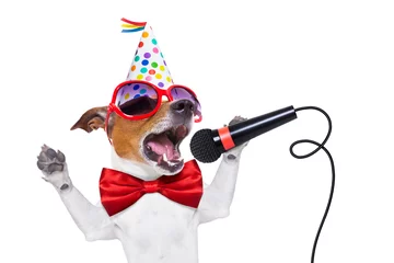 Crédence de cuisine en verre imprimé Chien fou joyeux anniversaire chien qui chante