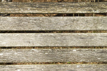Holztextur mit Hintergrund