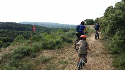 Vtt