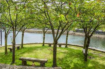 Small Public Garden on the Waterfront in Vancouver