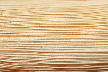 Corn husks background
