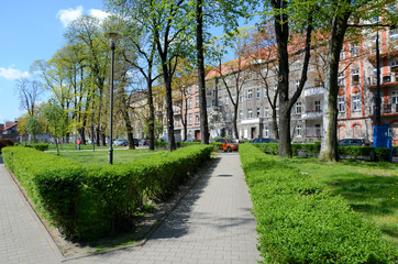 Urban green (Gliwice in Poland)