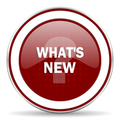 new red glossy web icon