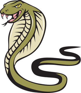 Cobra Viper Snake Attacking Cartoon
