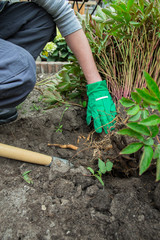 ein junger Mann arbeitet im Garten