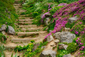 Stairway in botanic garden