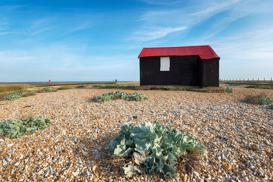The Red Hut at Rye