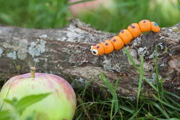 Plasticine world - little homemade orange caterpillar 